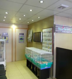 Heung Wo Exotic Veterinary Centre 享和珍禽異獸醫療中心