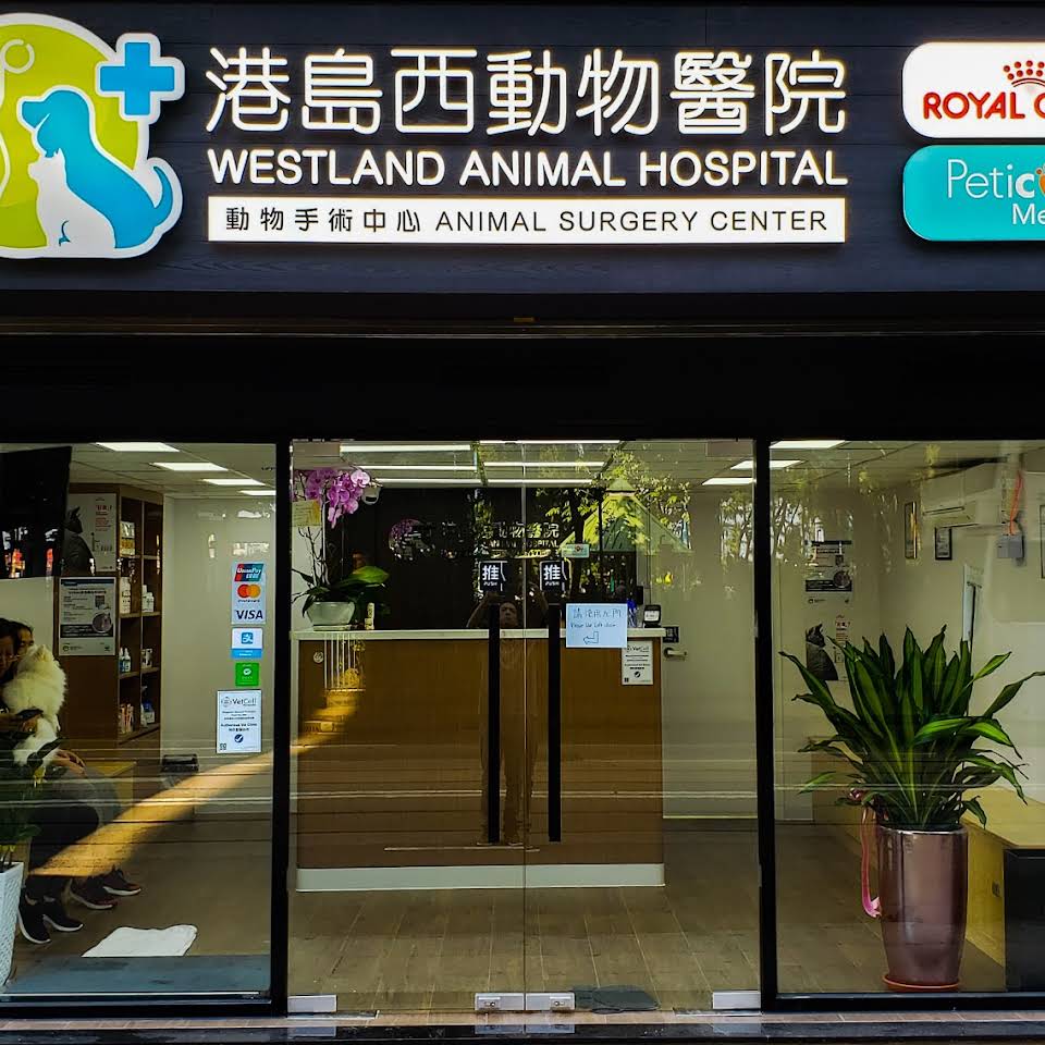Westland Animal Hospital 港島西動物醫院