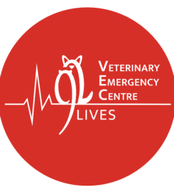 Veterinary Emergency Centre VEC 香港獸醫急症中心