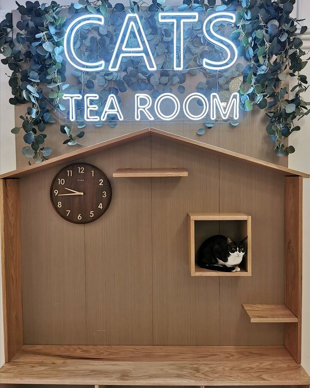 貓之茶房 Cats Tea Room (尖沙咀)