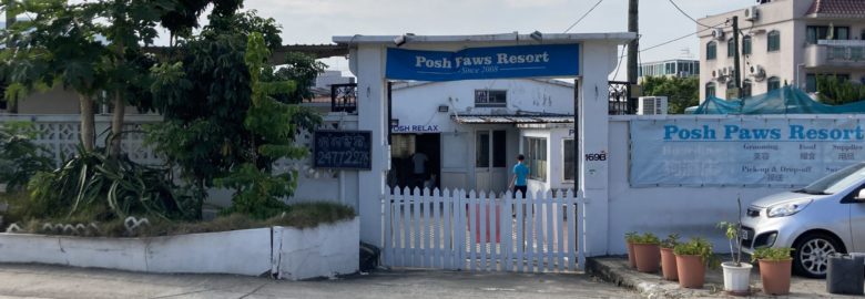 Posh Paws Resort