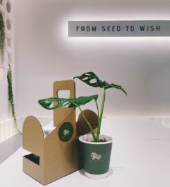 From Seed To Wish Coffee – Kowloon Bay