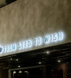 From Seed To Wish Coffee – Prince Edward