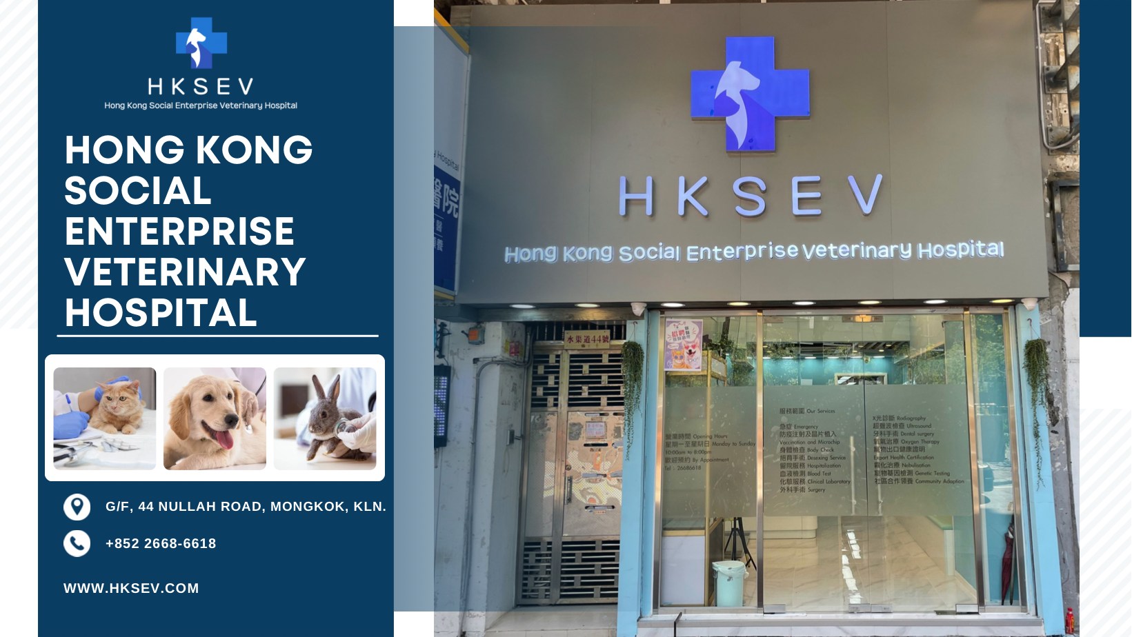 香港社企動物醫院 HKSEV Hong Kong Social Enterprise Veterinary Hospital